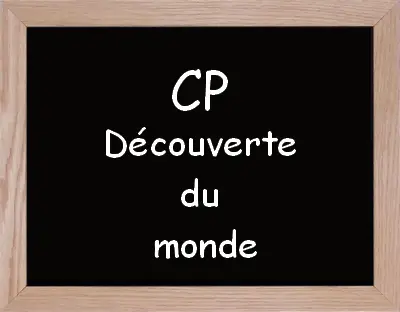 Activite Questionner Le Monde Cp Trouver Une Activite Pour Cp